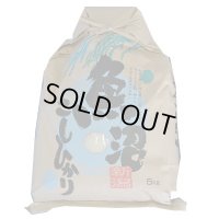 令和6年産魚沼産コシヒカリクラフト袋　5kg