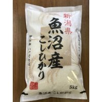令和6年産魚沼産コシヒカリ　5kg