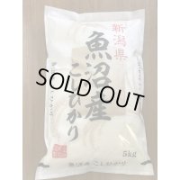 令和6年産魚沼産コシヒカリ　5kg