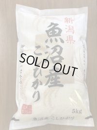 令和6年産魚沼産コシヒカリ　5kg
