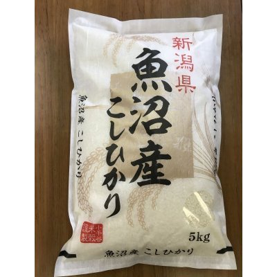 画像1: 令和6年産魚沼産コシヒカリ　5kg