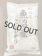 画像: 令和6年産魚沼産コシヒカリ　5kg
